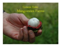 Genesis Today Farms