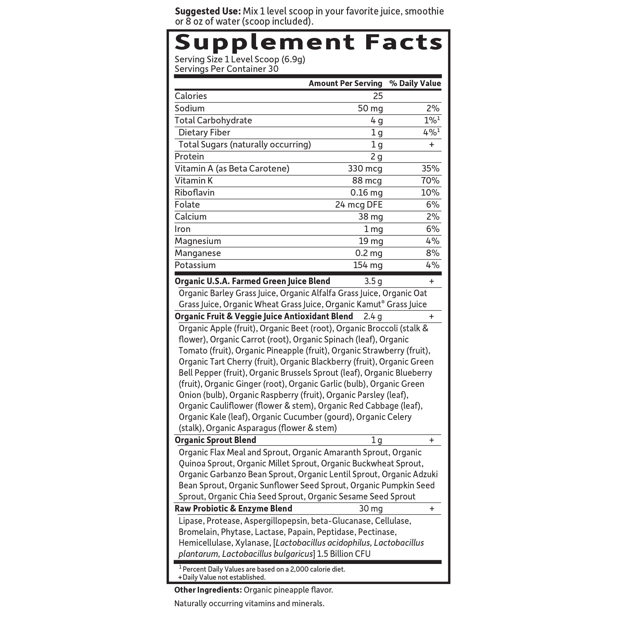 The Raw Organic Perfect Food Green Superfood Powder