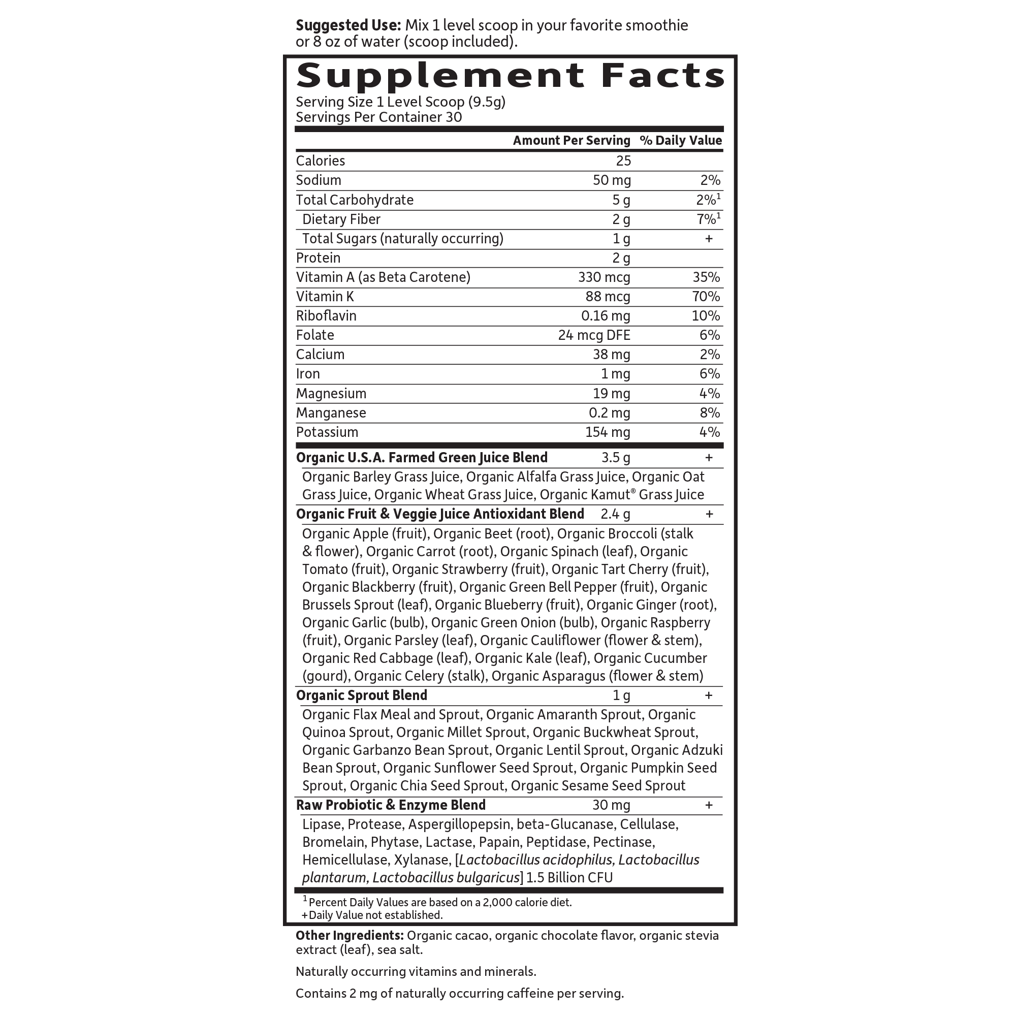 The Raw Organic Perfect Food Green Superfood Powder