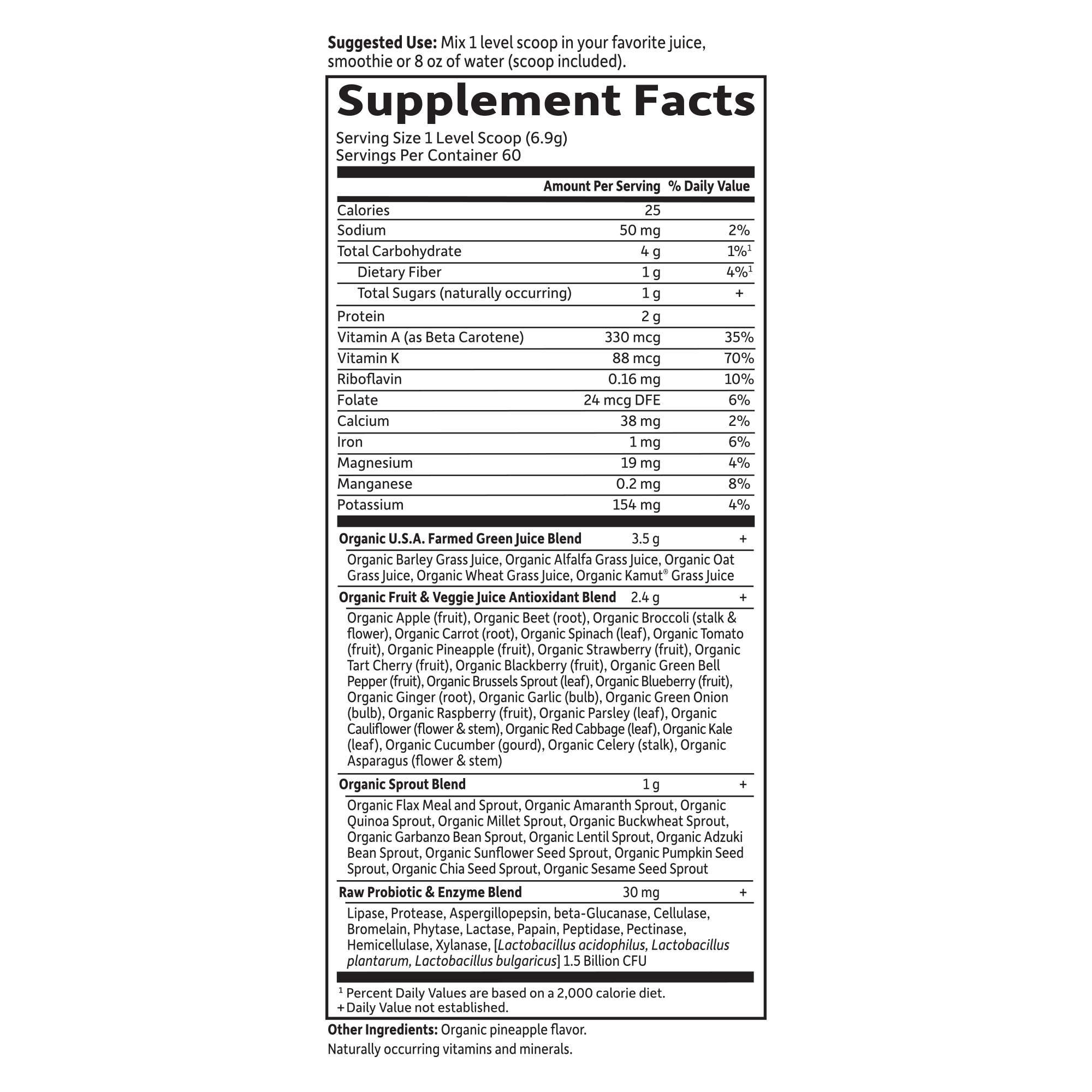 The Raw Organic Perfect Food Green Superfood Powder